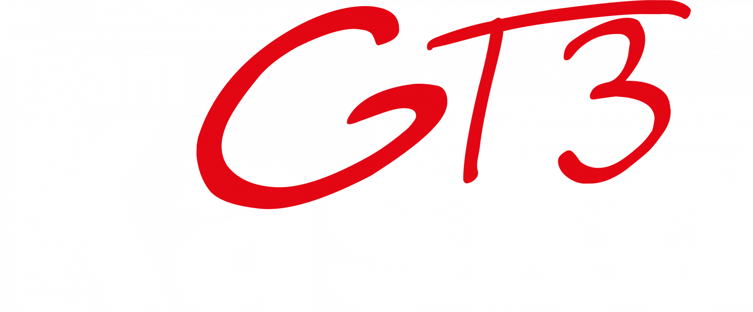 Team GT3 Kasko Logo